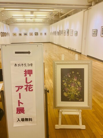 令和６年度小樽市文化祭-押し花アート-会場風景3
