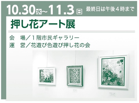 令和６年度小樽市文化祭-パンフレット-押し花のみ抜粋