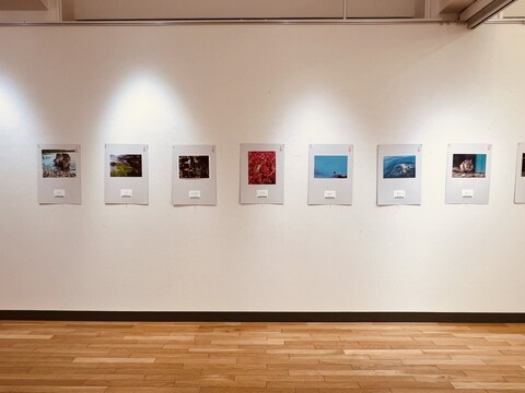 令和６年度小樽市文化祭-写真市展-会場風景3