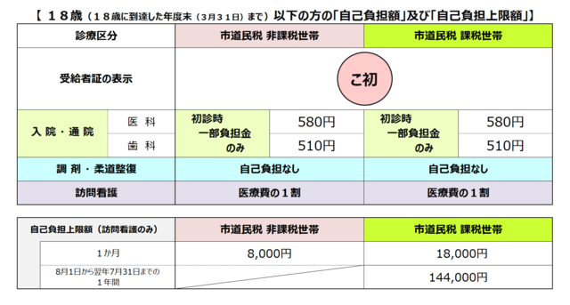 こども＜自己負担額・自己負担額・自己負担上限額＞