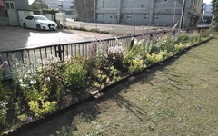 小樽芸術村写真2