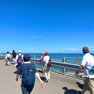 市民歩こう運動