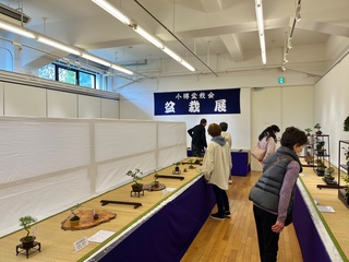 盆栽展写真2 盆栽展写真2