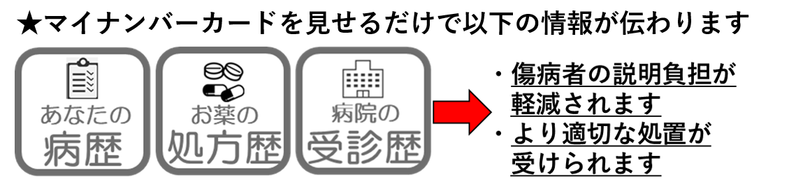 マイナ救急で得られる情報 マイナ救急で得られる情報