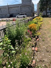 小樽芸術村写真1