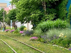 鉄道文化保存会写真2