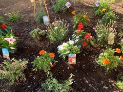 朝里川温泉ホテル写真2