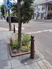 オーセントホテル写真1