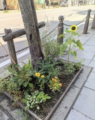 オーセントホテル写真2