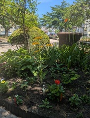 市民とみどりをつなぐ会写真1