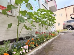 小樽高島郵便局写真1