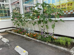 小樽高島郵便局写真2