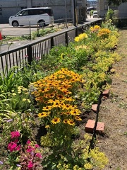 小樽芸術村写真2