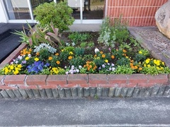 桜町中学校写真2