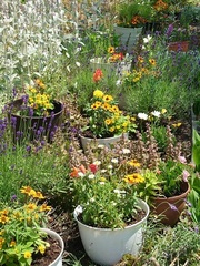 西陵中学校写真1