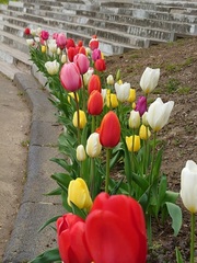 西陵中学校写真2