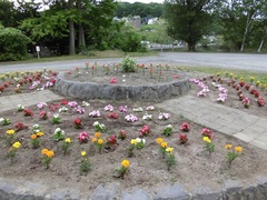 高島小学校PTA写真2