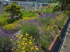 花園小学校写真1