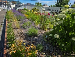 花園小学校写真2
