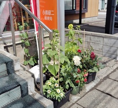 小樽緑二郵便局写真2