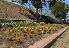 向陽中学校PTA写真1