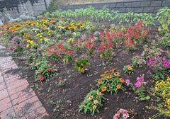 向陽中学校PTA写真2