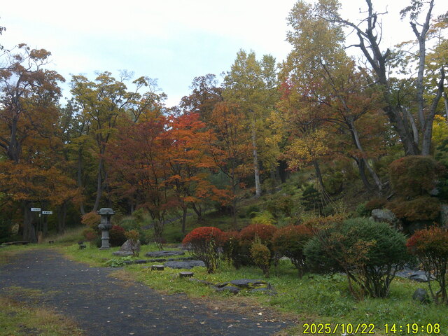 小樽公園紅葉1