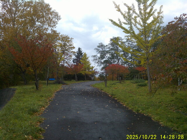 小樽公園紅葉2