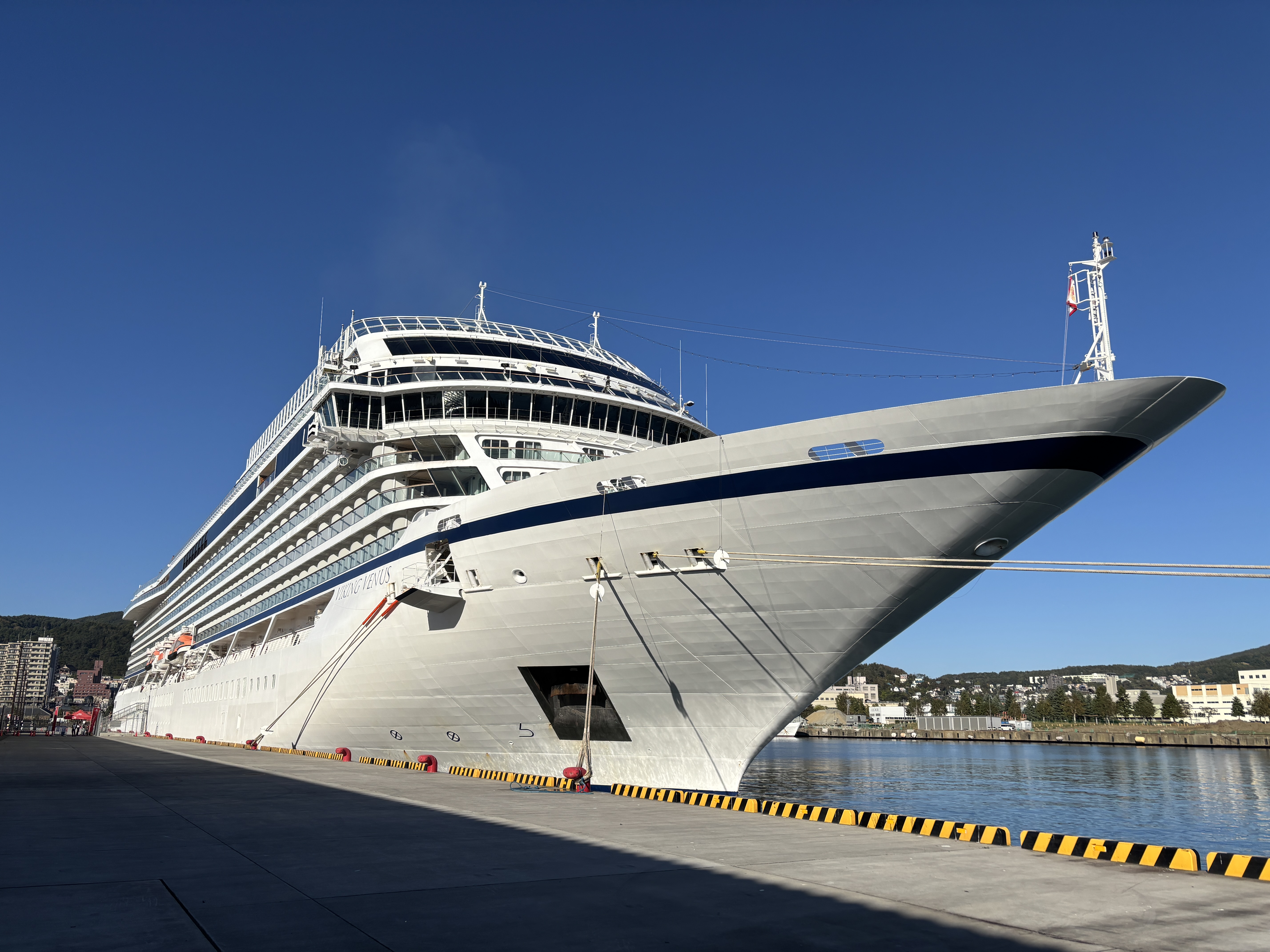 バイキング・ビーナス