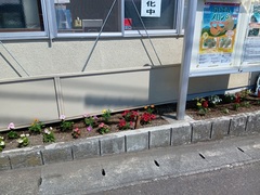最上郵便局写真1
