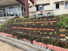 西陵中学校写真1