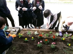 桜町中学校写真1