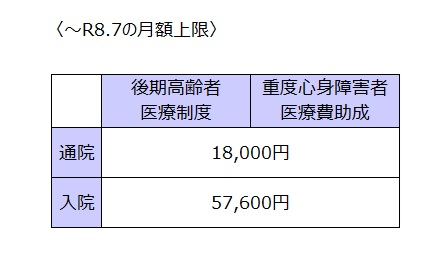 ～R8.7　月額上限
